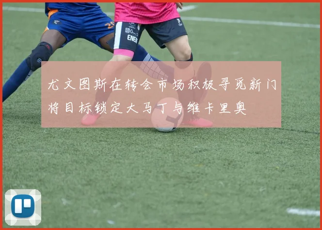 尤文图斯在转会市场积极寻觅新门将目标锁定大马丁与维卡里奥